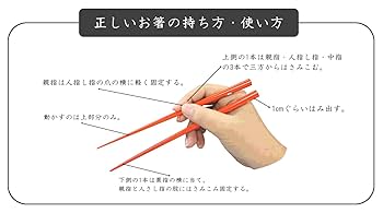 箸1本 新柄登場♪】【メール便送料無料】ほんとうにすべらないお箸 HSR
